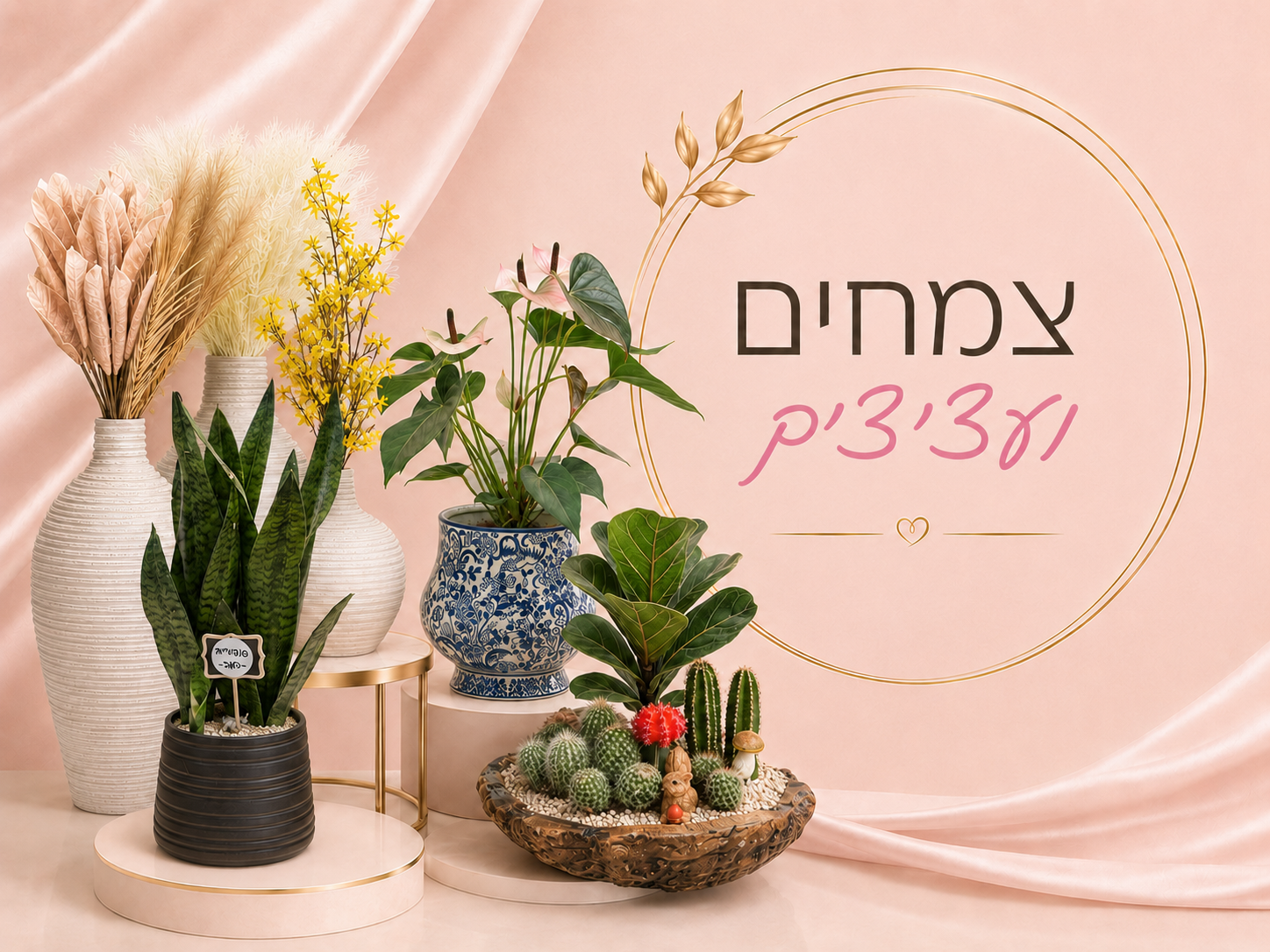 צמחים ועציצים