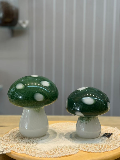 Glass Mushroom פטריות זכוכית
